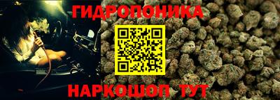 a pvp Кандалакша