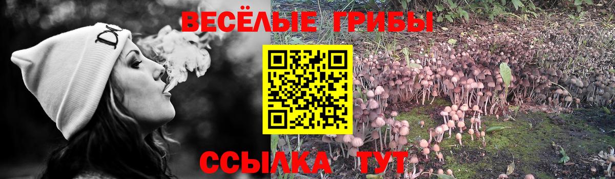 Псилоцибиновые грибы прущие грибы  Вход с VPN  Псилоцибиновые грибы ЛСД  Бутурлиновка 