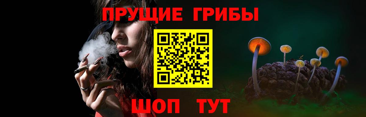 Псилоцибиновые грибы мицелий Бутурлиновка